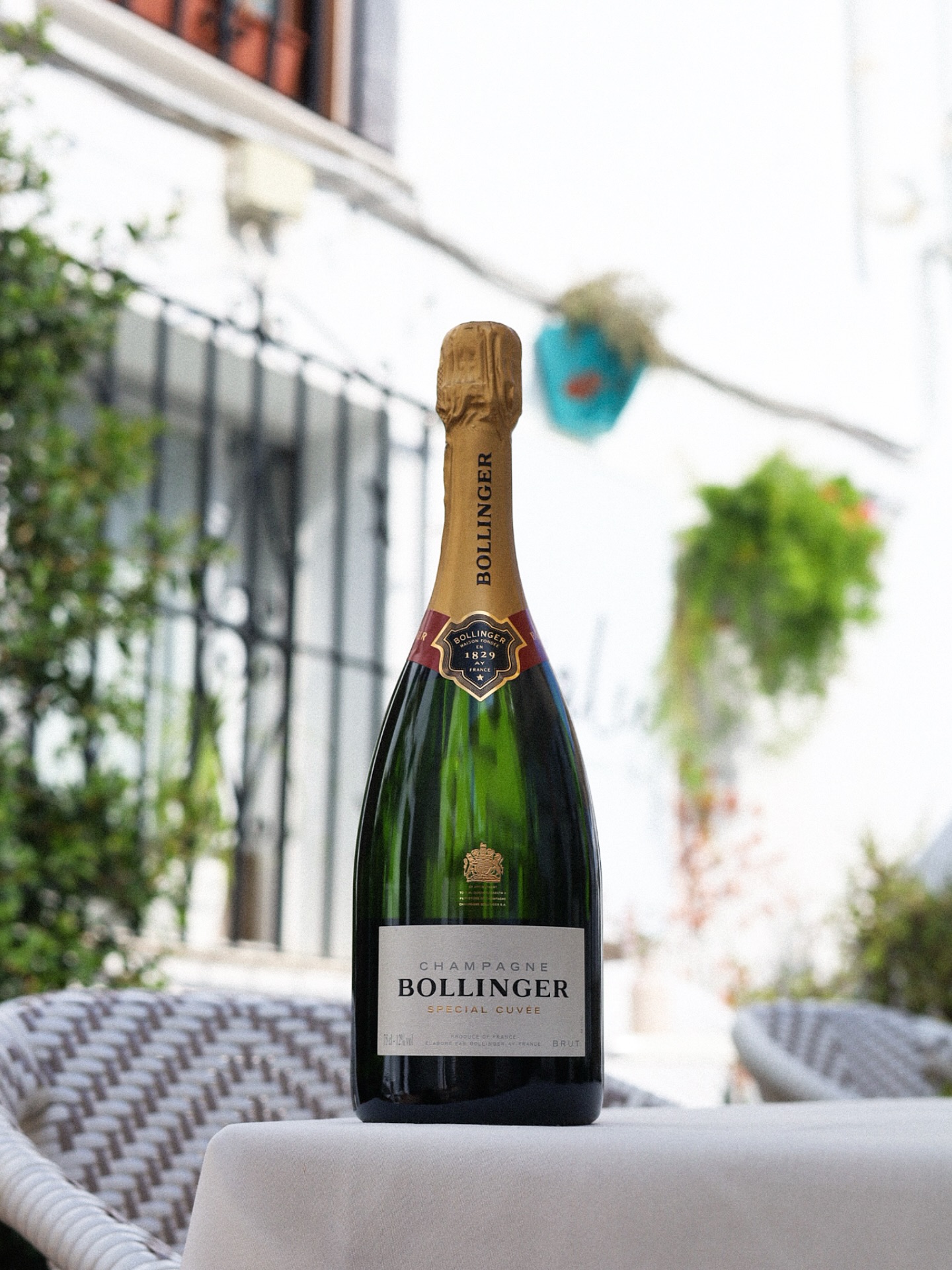 To those who know how to celebrate beautifully. Happy World Champagne Day! 🥂
It’s celebrated on the third Friday of October — not just as an excuse to raise a glass, but as a reminder that true Champagne comes only from the Champagne region in northeastern France.
There, where vines grow on chalky slopes and the cellars run deep underground, elegance is crafted — the kind that made this wine a symbol of celebration.
And while the world may be full of bubbles today, Champagne remains the only name backed by history, craftsmanship and patience.
So if you’re opening a bottle of Moët & Chandon, Bollinger or Herbert Beaufort it’s more than a gesture — it’s a tribute to a tradition that has a lot for centuries.
✨ Raise your glass not just to celebrate but to appreciate what true Champagne really means.
📍 Calle San José, 6, Benalmádena
📞 +34 951 71 57 36
#love #lovely #restaurant #benalmadena #restaurante #benalmádena #malaga #spain #dinner #wine #málaga #vino #viño #víno #benalmadenapueblo #benalmadenacosta #benalmadenabeach #benalmadenamarina #cena #food #foodlover #foodgasm #winelover #costadelsol #Champagne #champagneday #internationalChampagneday