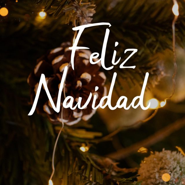 Merry Christmas 🤍

May this day be filled with calm, light and warm gatherings. With time spent with those who truly matter, around a table where there is no need to rush — just to be together. The Salu team sincerely wishes you a cozy Christmas, heartfelt conversations and flavors that linger in memory. Thank you for choosing us — we truly value every moment shared with you.

With love, Salu

#christmas #eve #navidadmágica #feliznavidad #felíznavidad